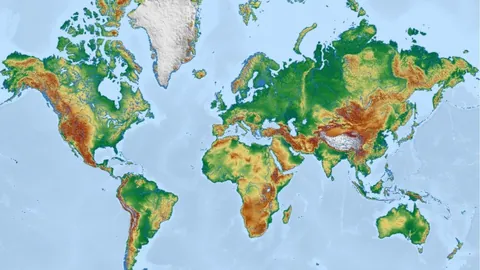【揭秘真相】海牛官方确认：兰克尔·泽薪酬到账，频繁请假引离队传闻，内幕全曝光！